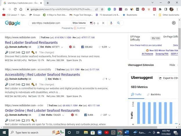 how to check to see if your site is indexed